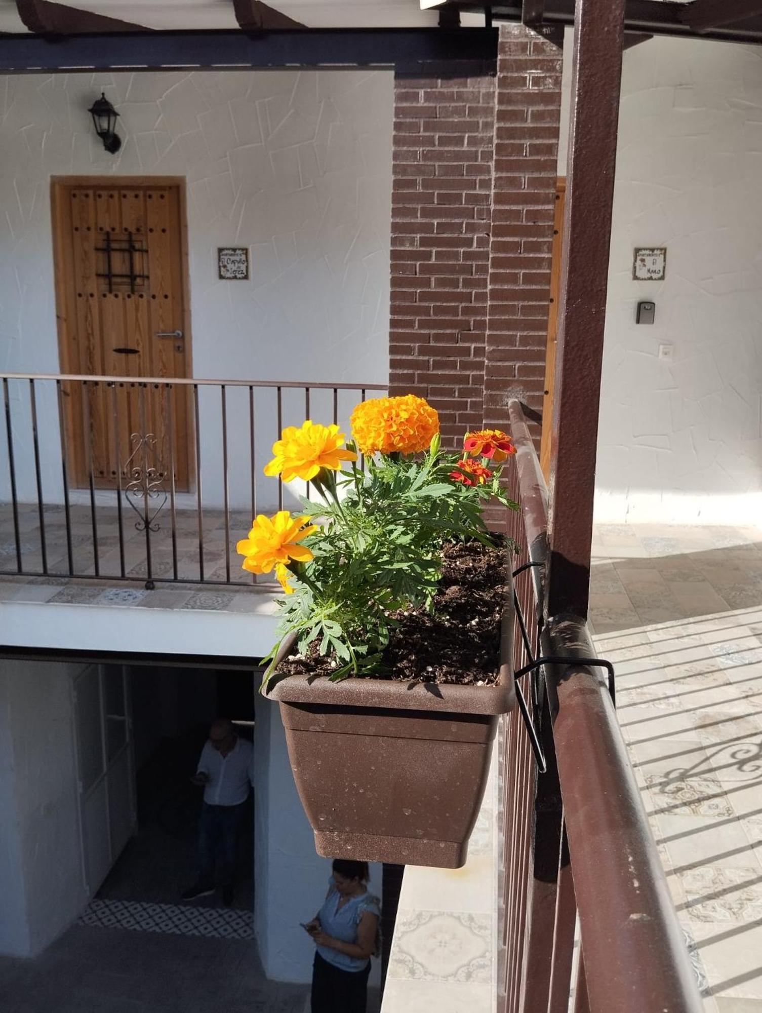 Suite San Mateos 15 Jerez de la Frontera Exteriör bild