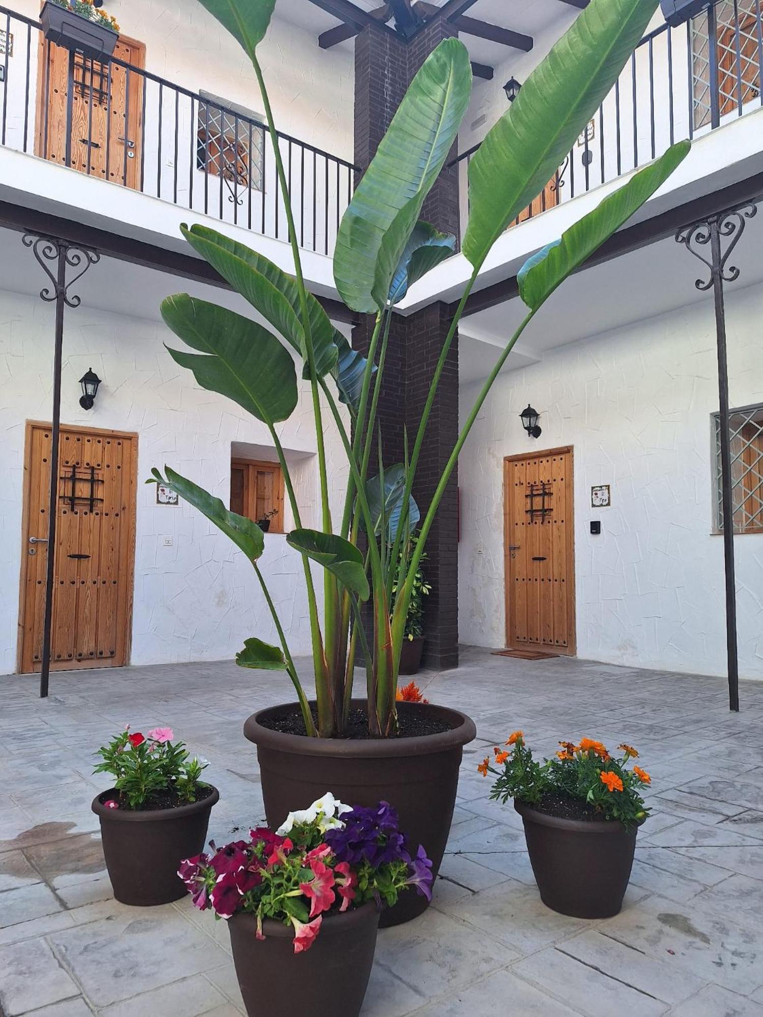 Suite San Mateos 15 Jerez de la Frontera Exteriör bild